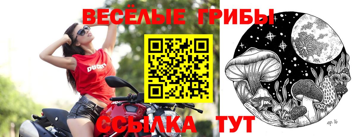 Псилоцибиновые грибы Psilocybine cubensis Благовещенск